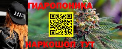 прущие грибы Пушкино