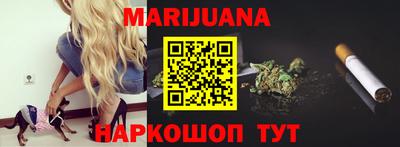 прущие грибы Пушкино