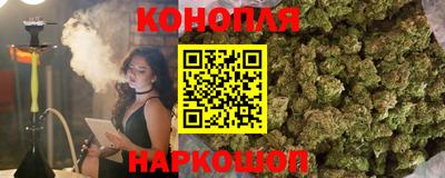 прущие грибы Пушкино