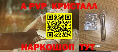 прущие грибы Пушкино