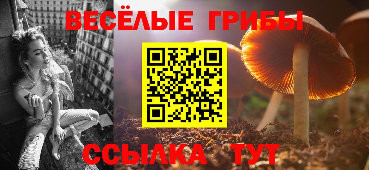 Галлюциногенные грибы MAGIC MUSHROOMS Полысаево